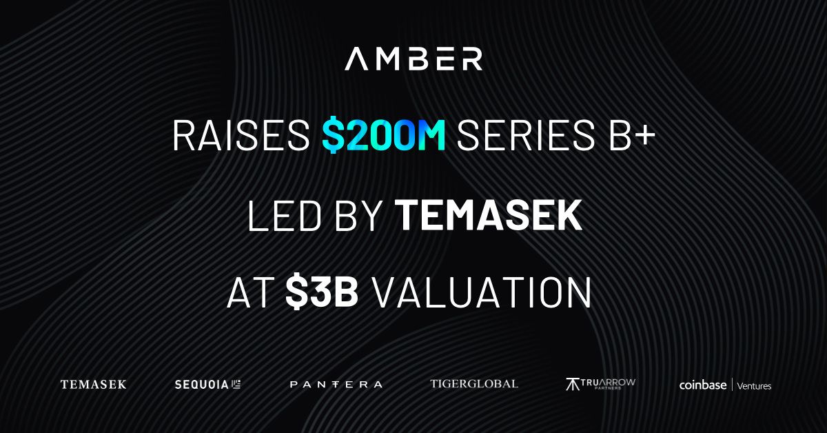 Temasek Leads Amber Groups 200m Series B Round Valuing The Company At 3b Bitcoin Insider