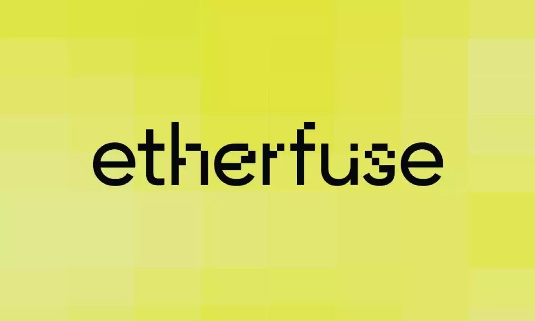 Etherfuse Raises $3M to Bring Emerging Market Debt On-chain