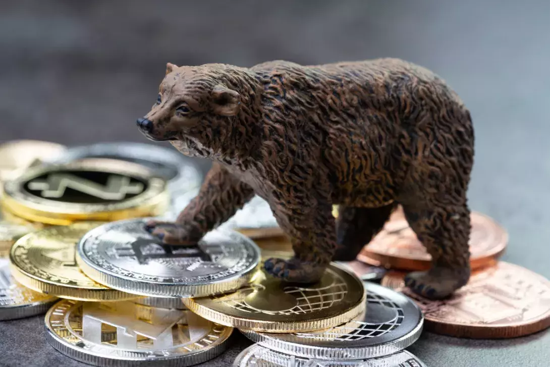 Bitcoin's bear rally?