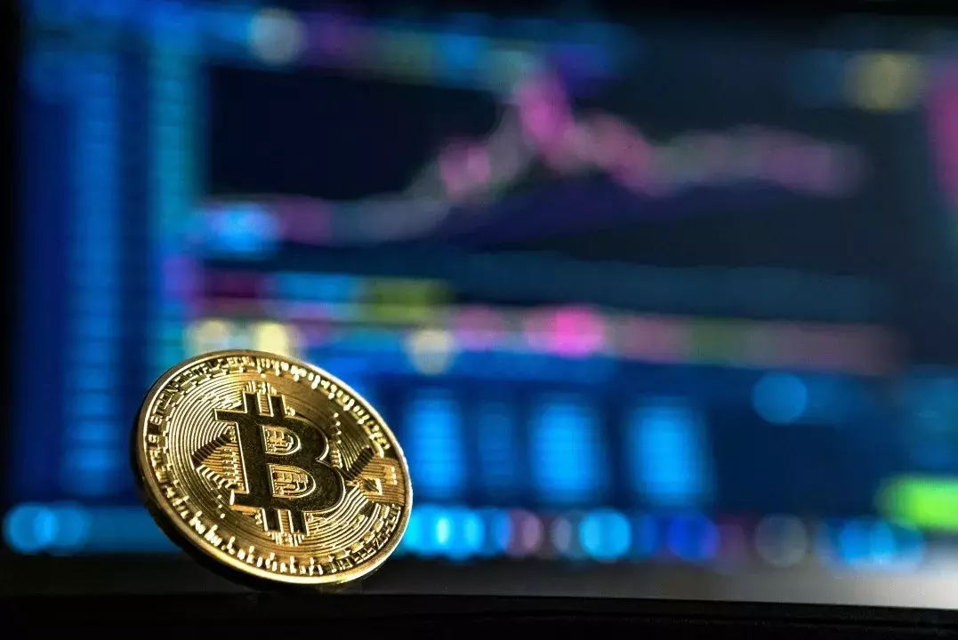 Navigating Crypto Volatility: Expert Hedging Tactics for UAE Traders